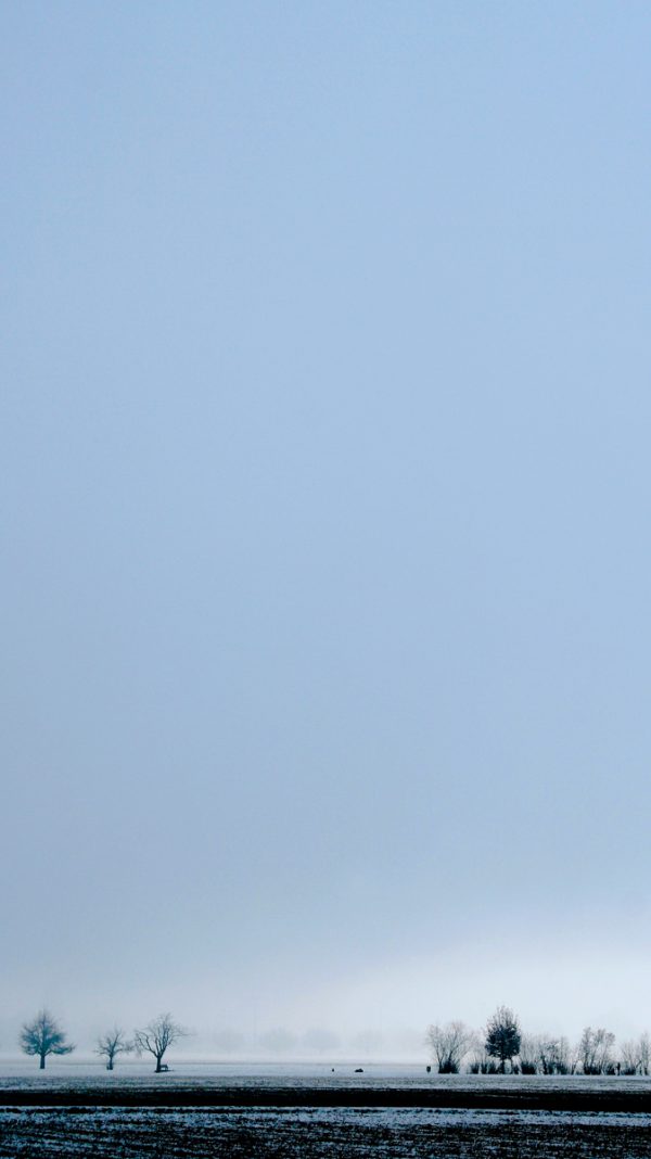 The sky is the limit IV