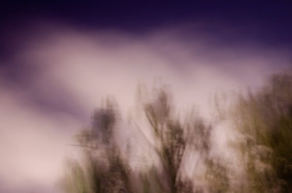 The sky, the trees III