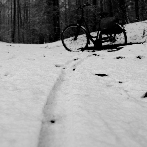 Traces in the snow 13