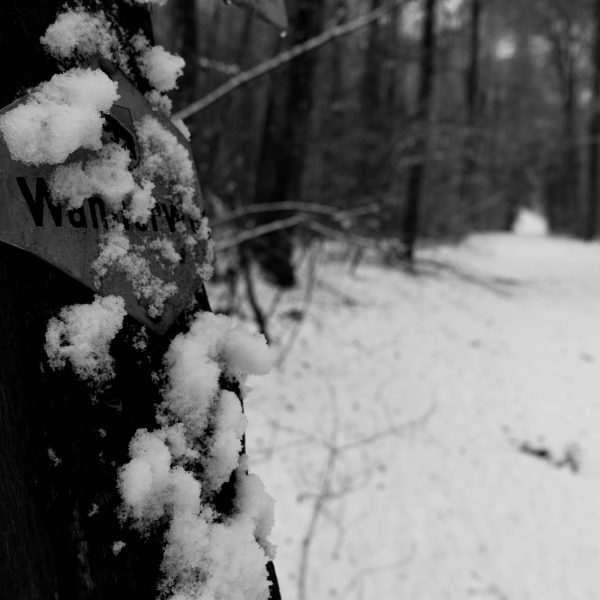 Traces in the snow 7