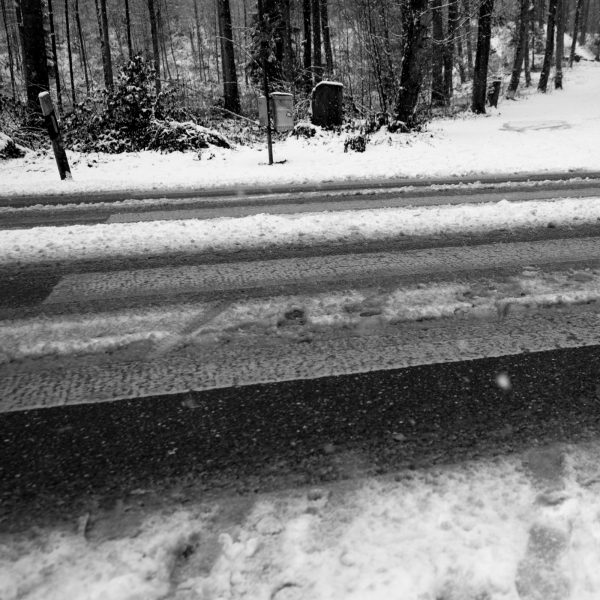 Traces in the snow 1