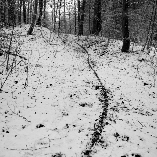 Traces in the snow 2