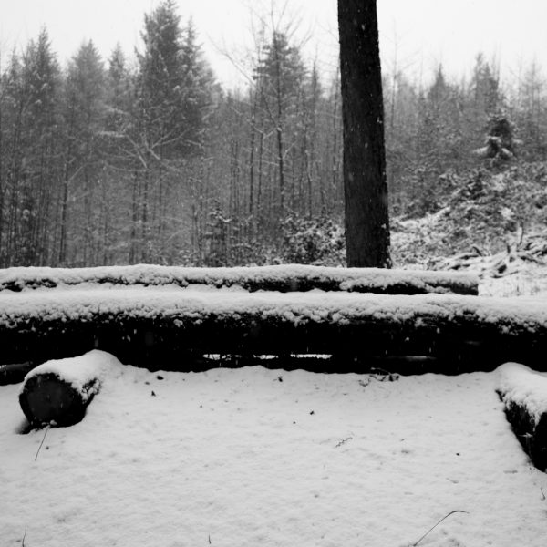 Traces in the snow 3