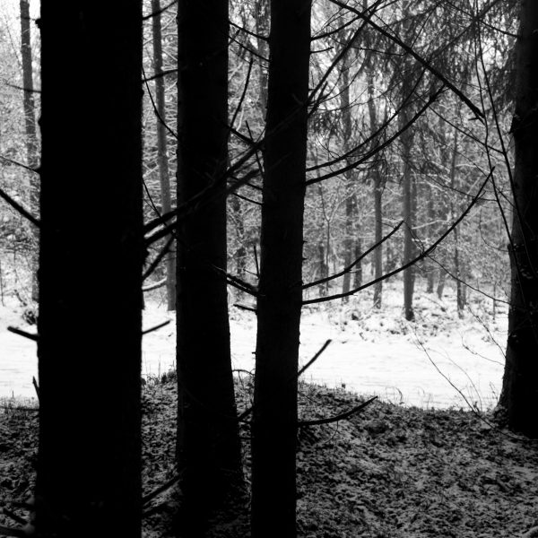 Traces in the snow 6