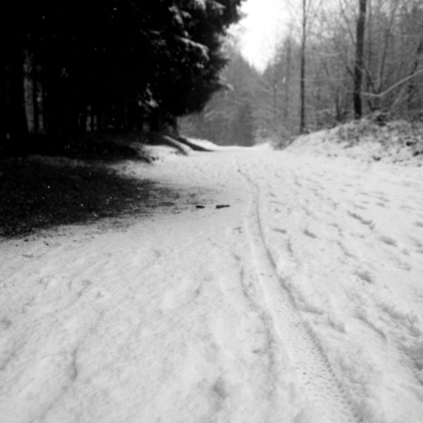 Traces in the snow 4