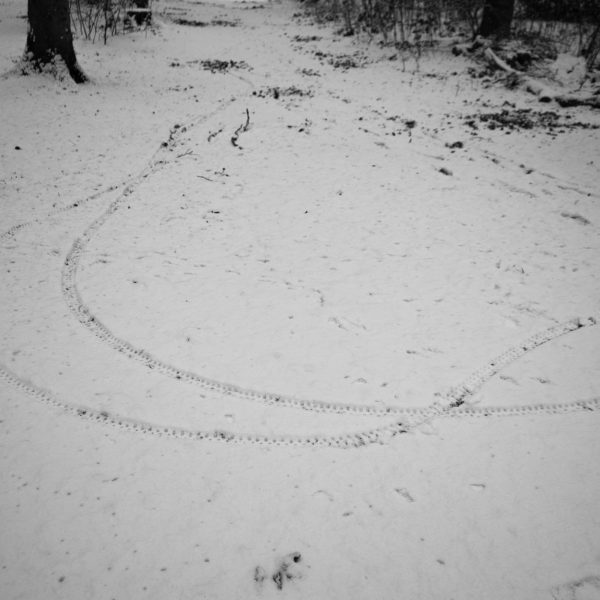 Traces in the snow 10
